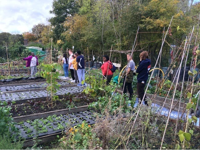 Ryder Brow Community Allotment Society 1