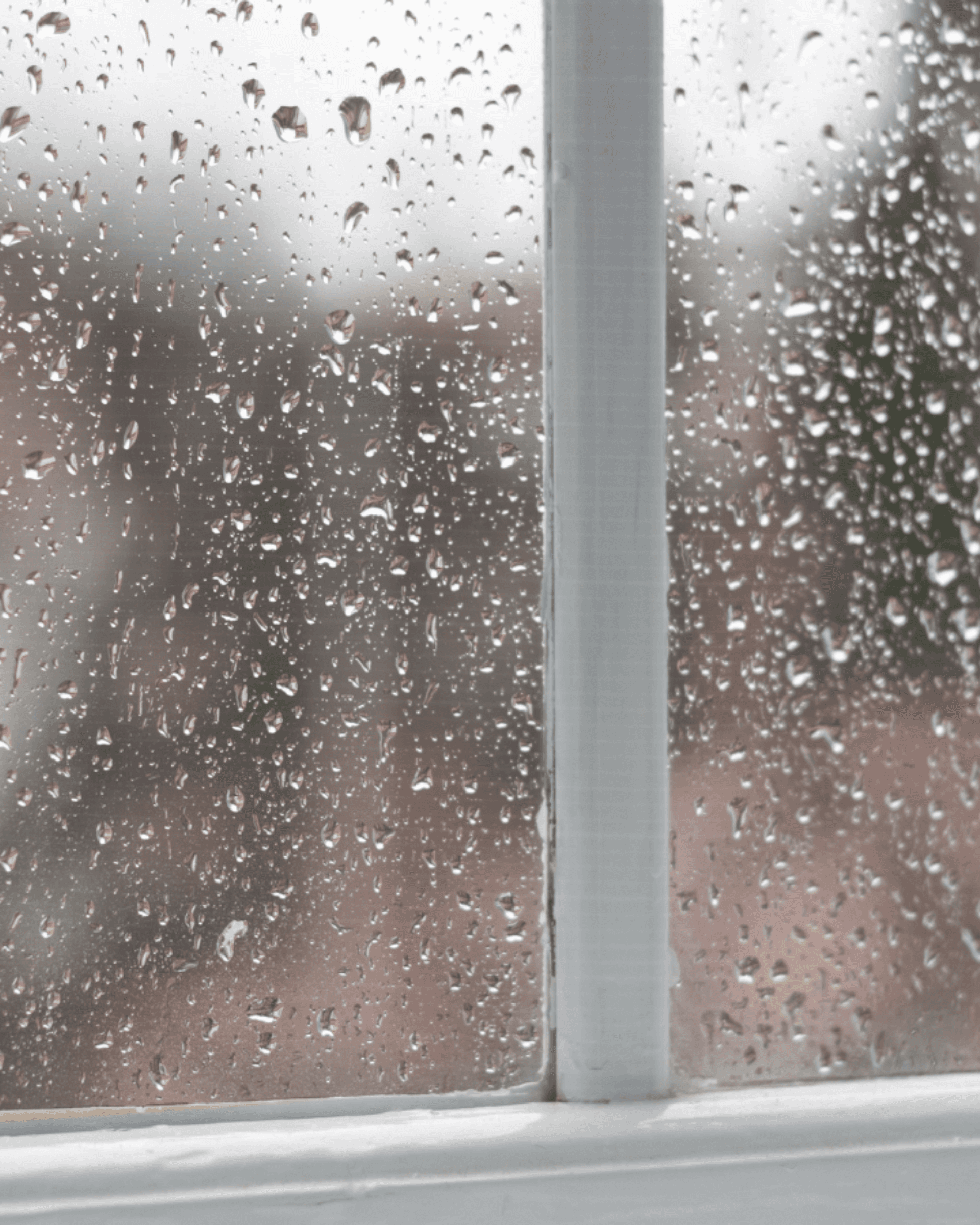 Rainy window